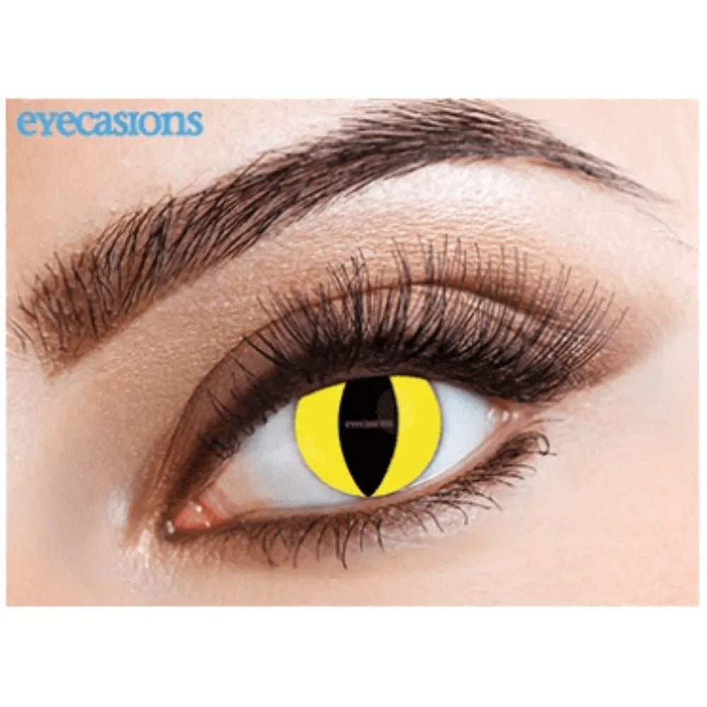 Eyecasions Feline Daily Contact Lenses